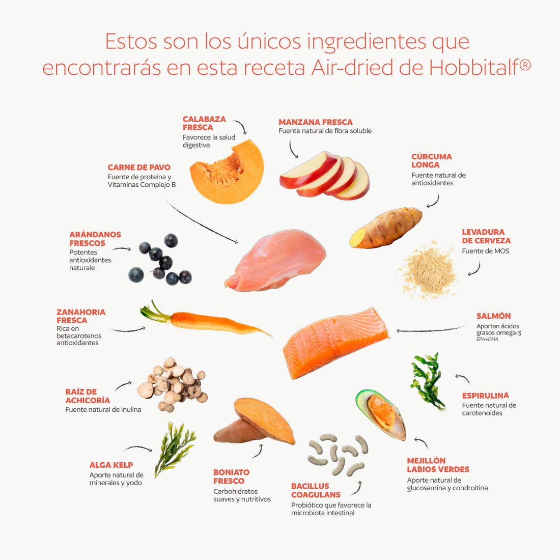 Superalimentos para Perros en Dietas Air-Dried y su Valor Nutricional