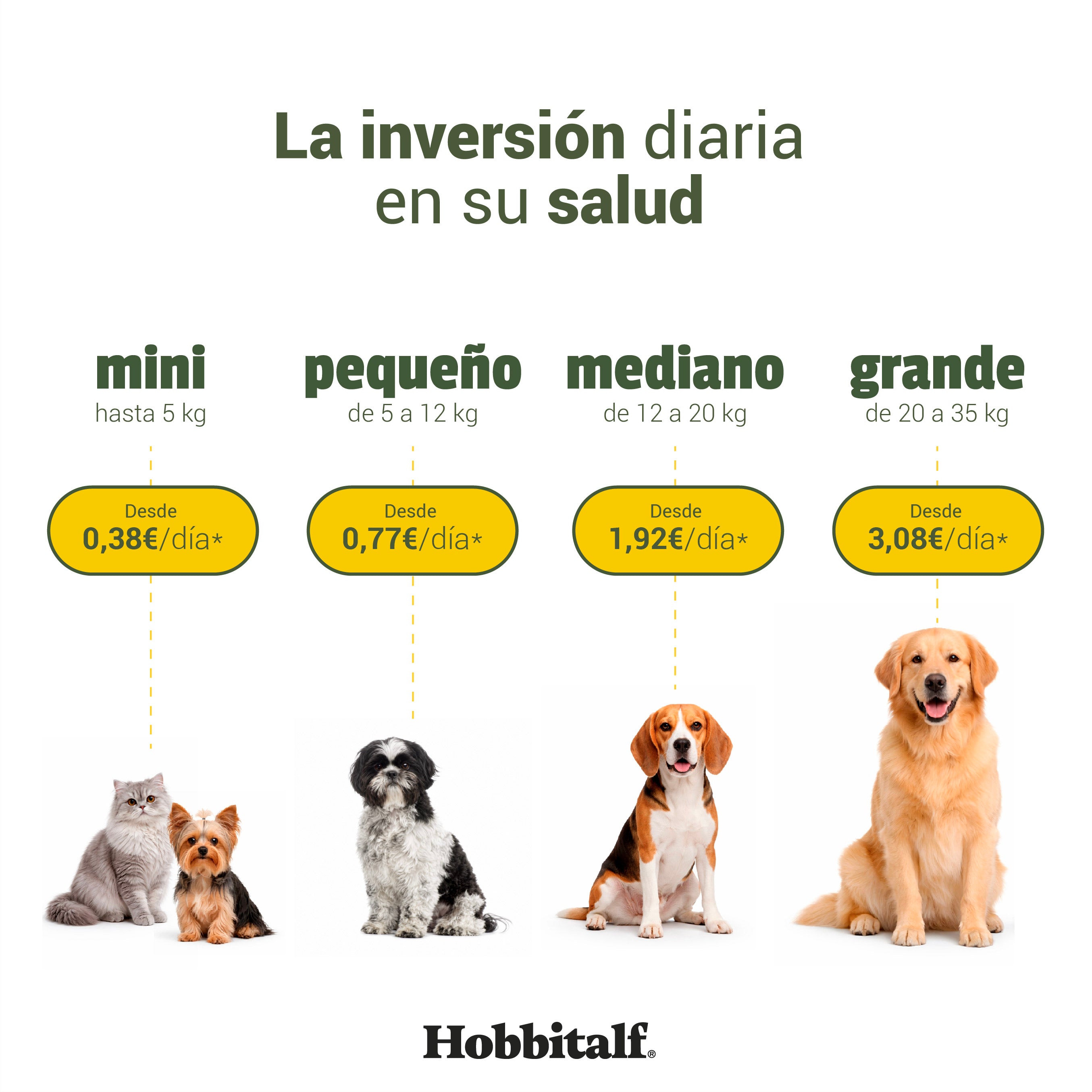 Air-dried SUPERFOOD Chicken Menu for adult and junior dogs