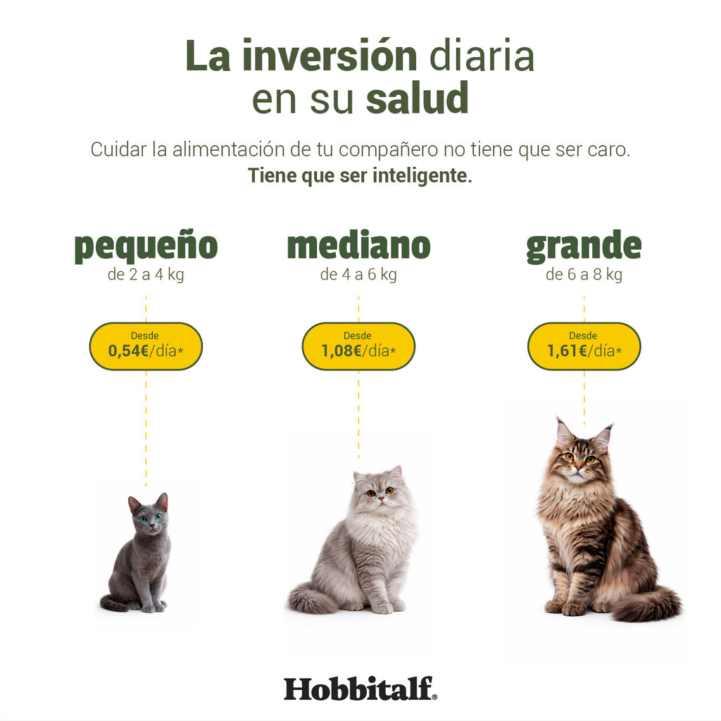 Menú Air-dried SUPERFOOD de Salmón y Pavo para gatos adultos