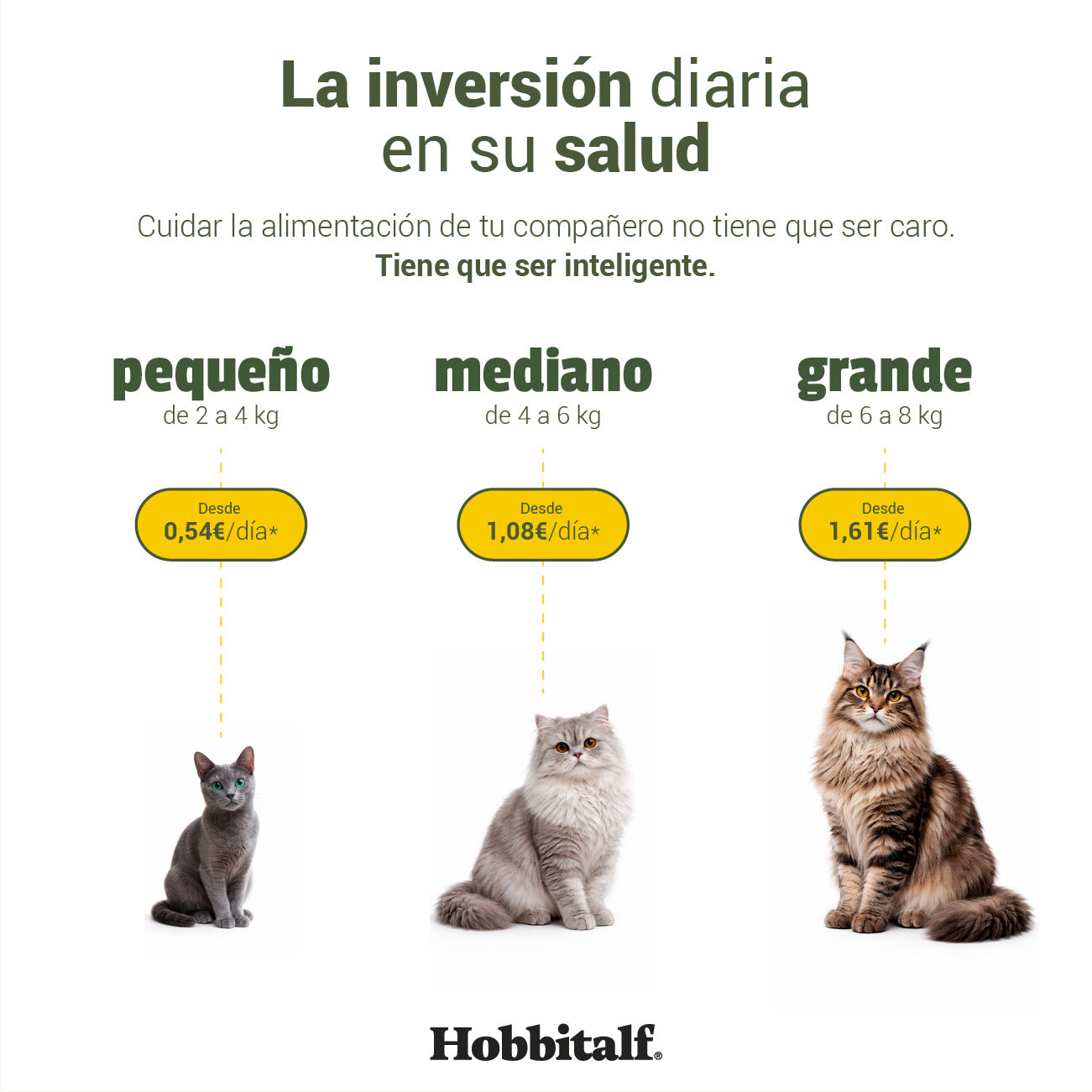 Menú Air-dried SUPERFOOD de Salmón y Pavo para gatos adultos