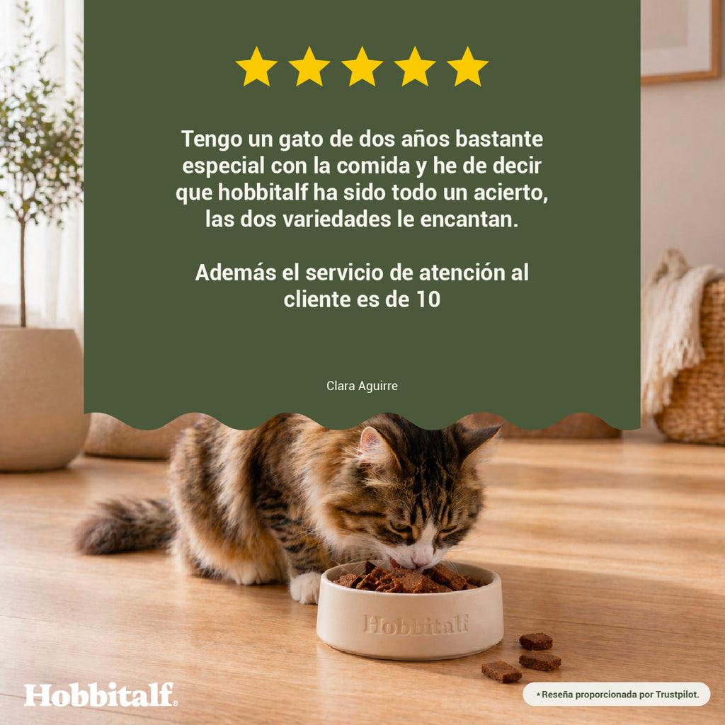 Menú Air-dried SUPERFOOD de Salmón y Pavo para gatos adultos
