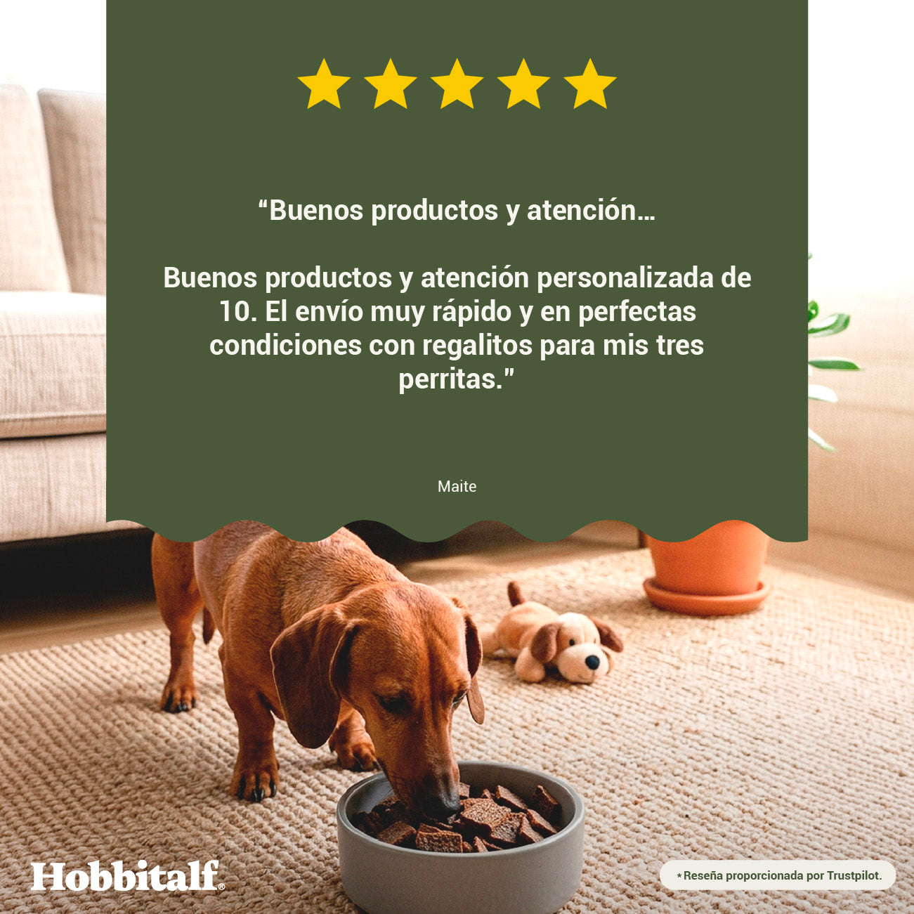 Air-dried SUPERFOOD Duck Menu for adult and junior dogs