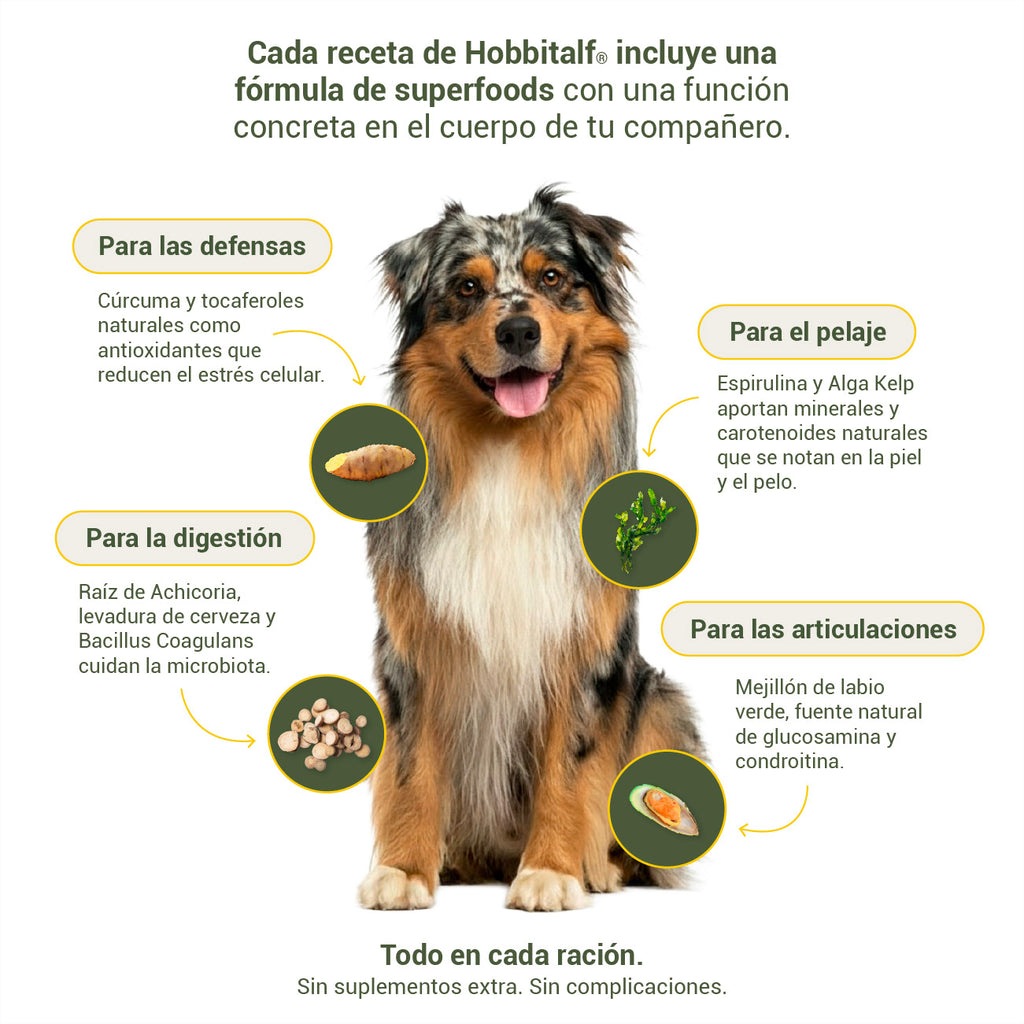Air-dried SUPERFOOD Duck Menu for adult and junior dogs