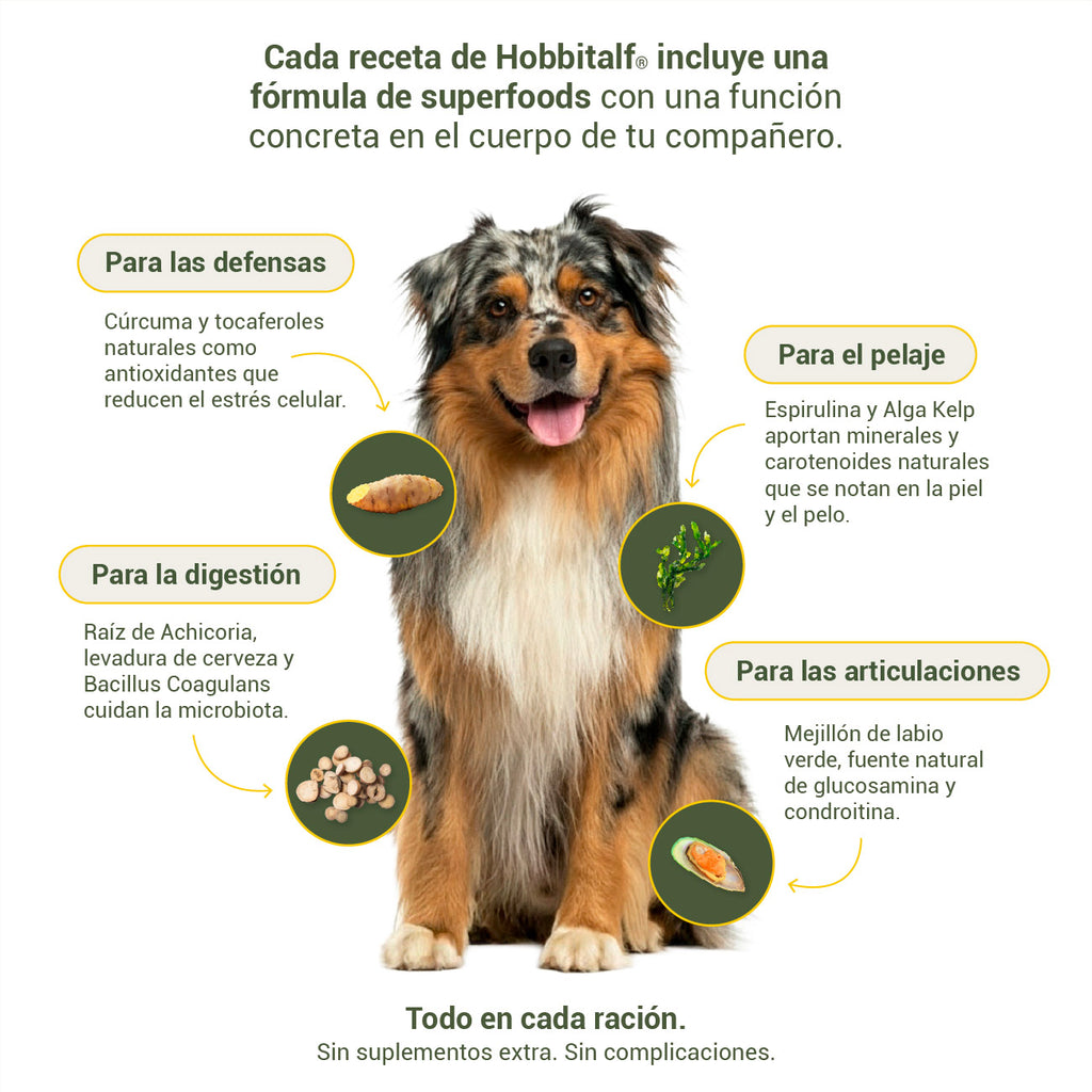 Air-dried SUPERFOOD Chicken Menu for adult and junior dogs