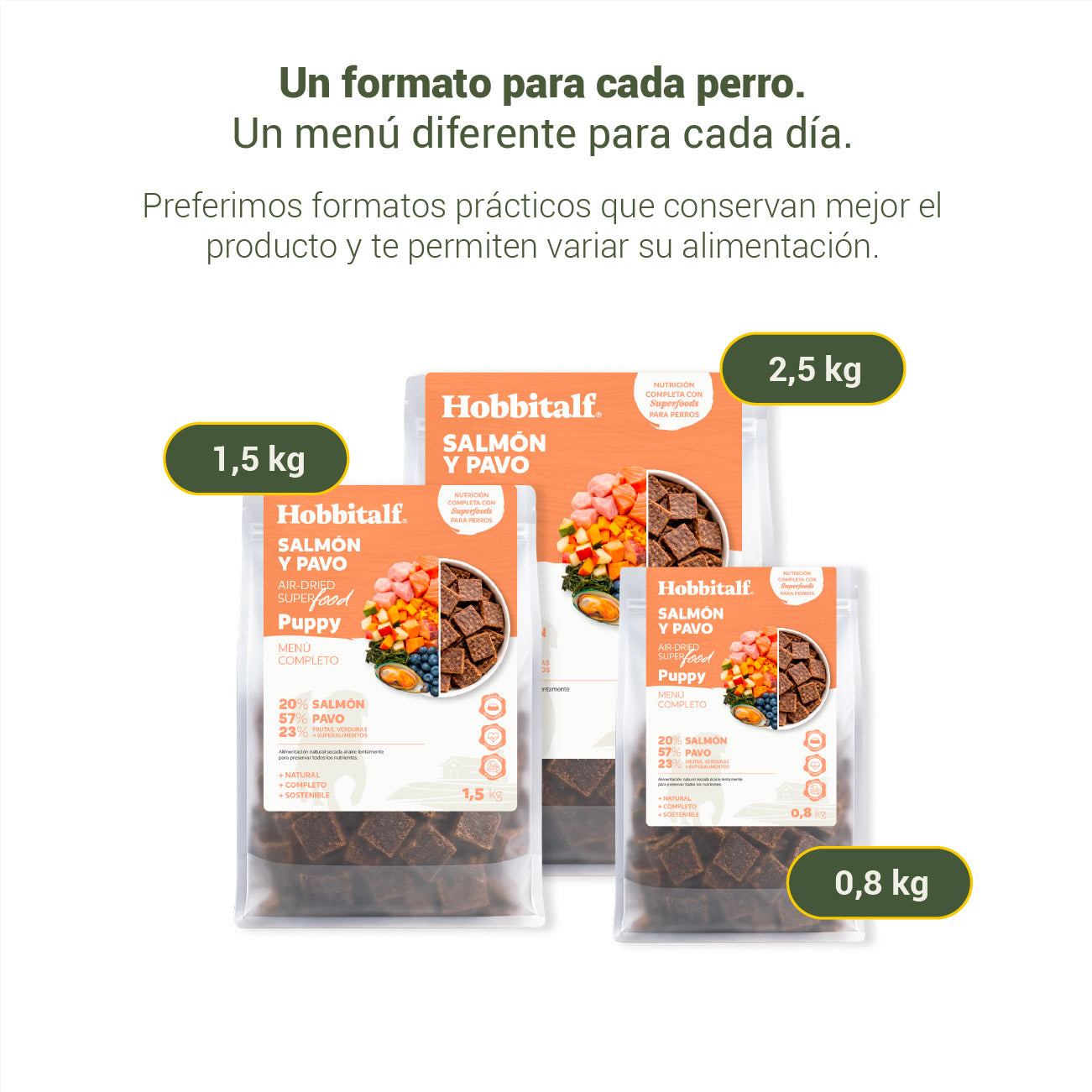 Air-dried SUPERFOOD Salmon and Turkey Menu for puppies