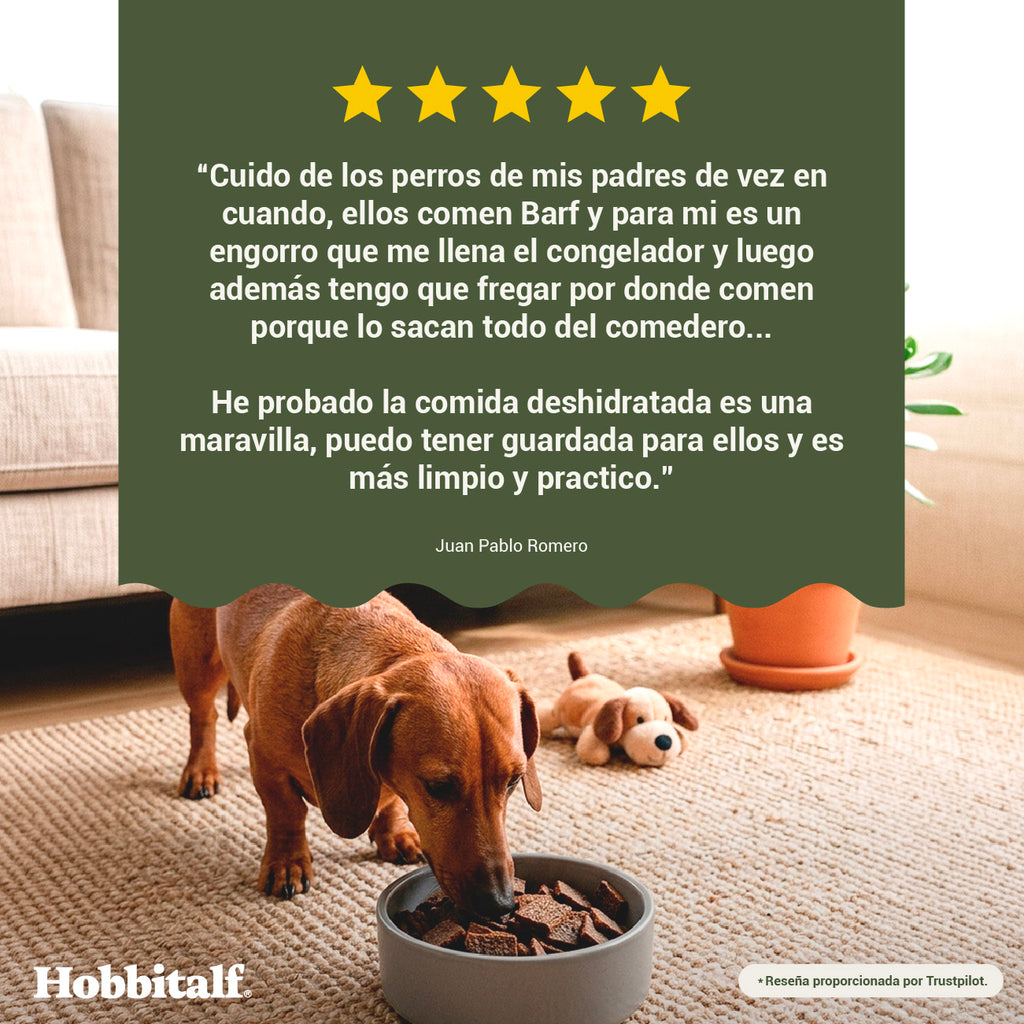 Air-dried SUPERFOOD Salmon and Turkey Menu for puppies