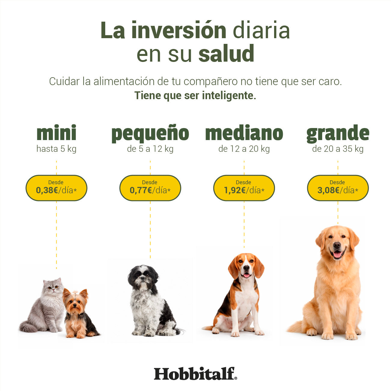 Air-dried SUPERFOOD Chicken Menu for puppies