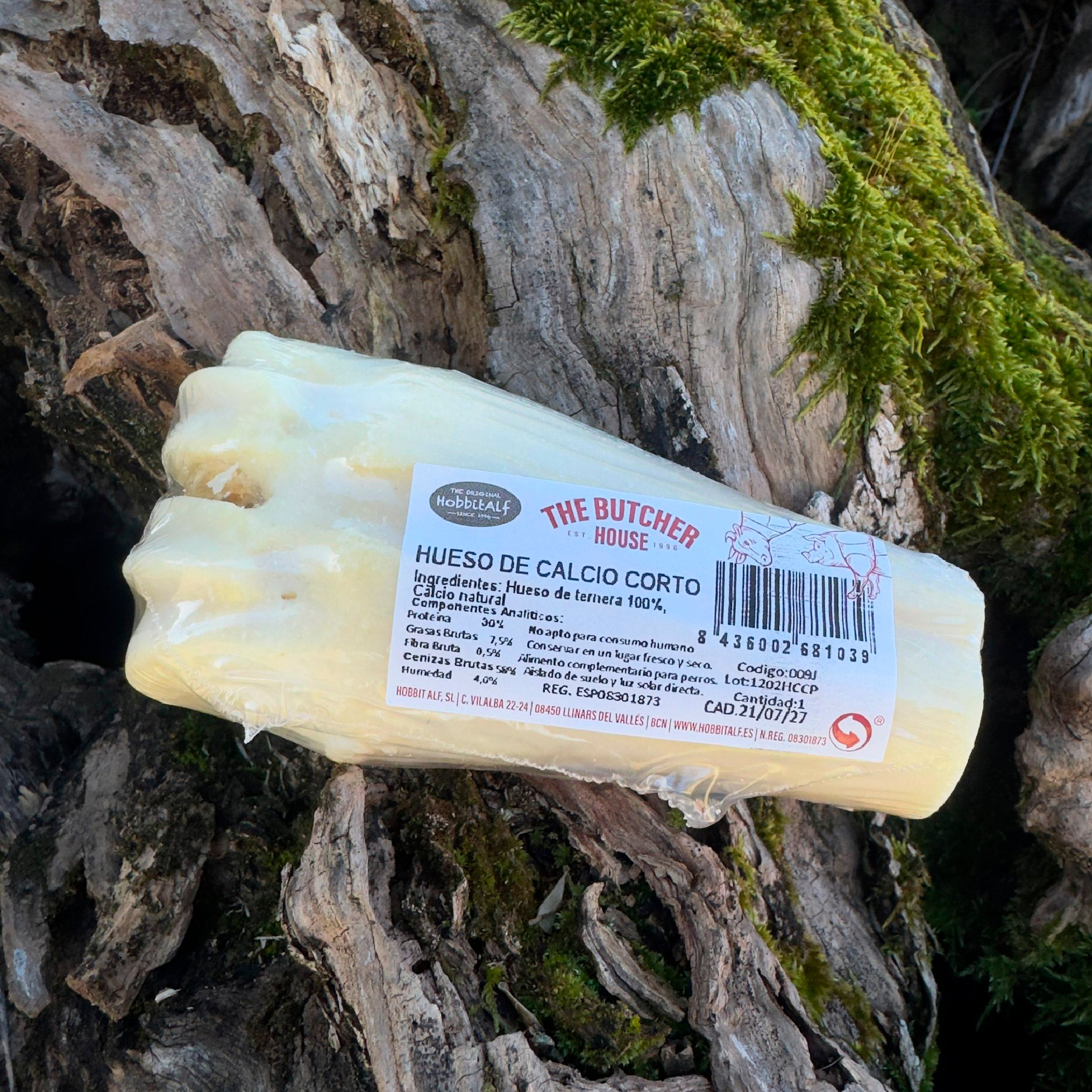 Hueso de calcio natural corto