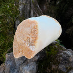 Hueso de calcio relleno natural