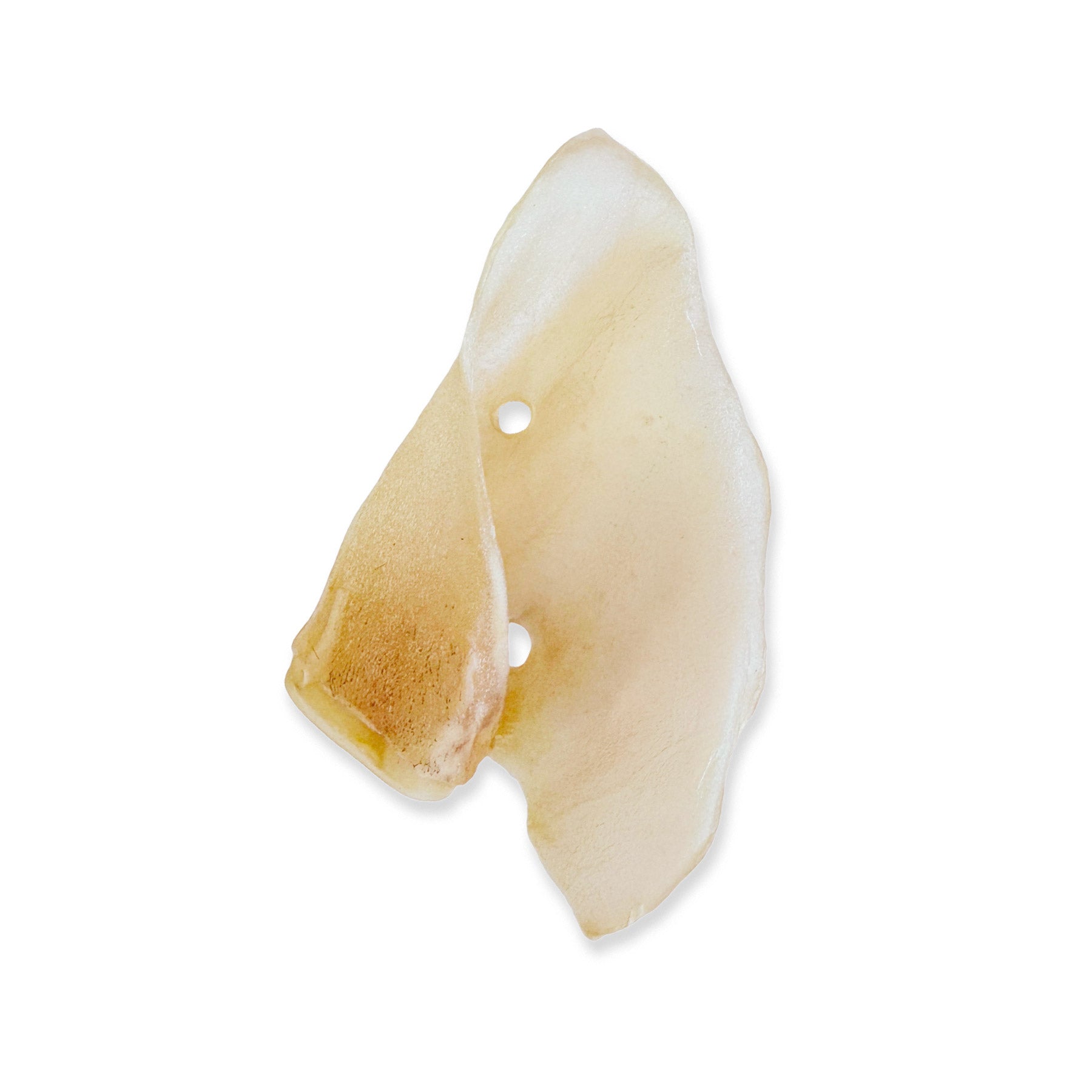Oreja de vaca natural