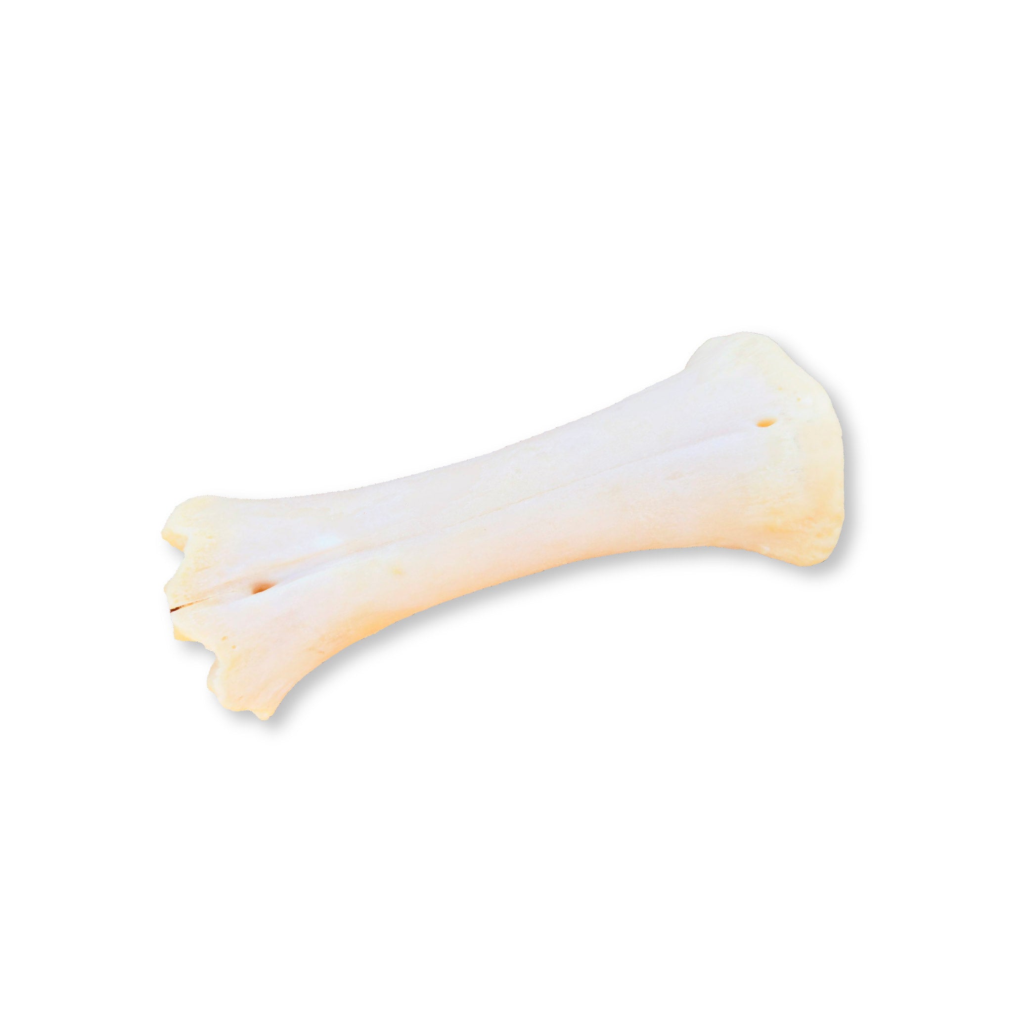 Hueso de calcio natural