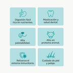 Healthy Chips Dental Fresh
