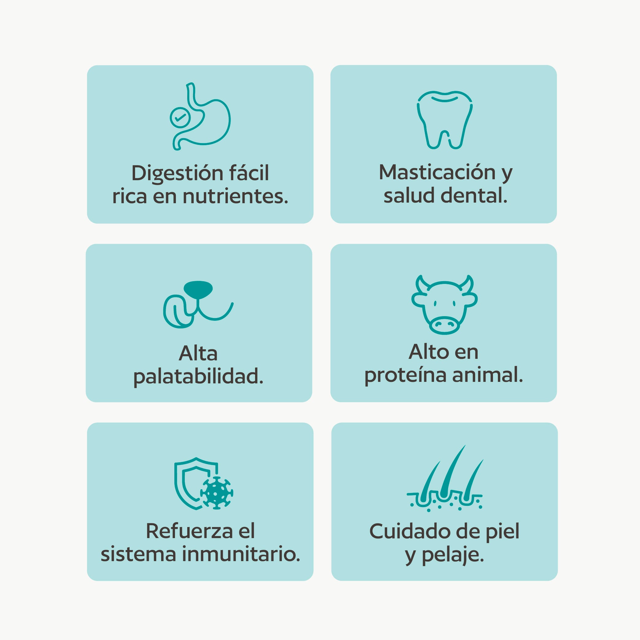 Healthy Chips Dental Fresh