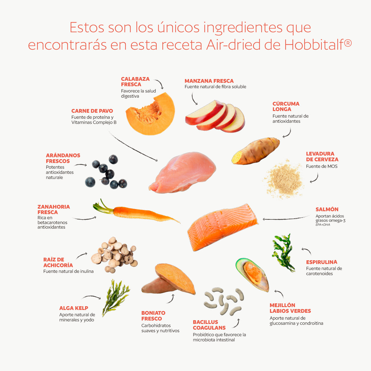 Air-dried SUPERFOOD Salmon and Turkey Menu for Adult Cats