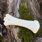 Hueso de calcio natural