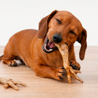 Patas de pollo natural