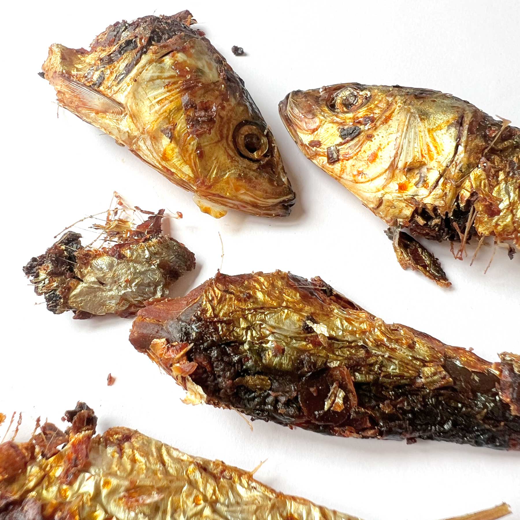 Sardinas naturales