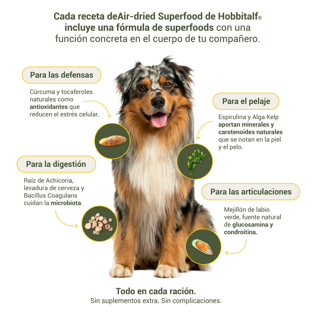 Pack de Iniciación al Air-dried con Salmón & Pavo y Superalimentos Frescos para Perros