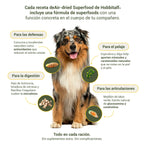 Pack de Iniciación al Air-dried con Salmón & Pavo y Superalimentos Frescos para Perros