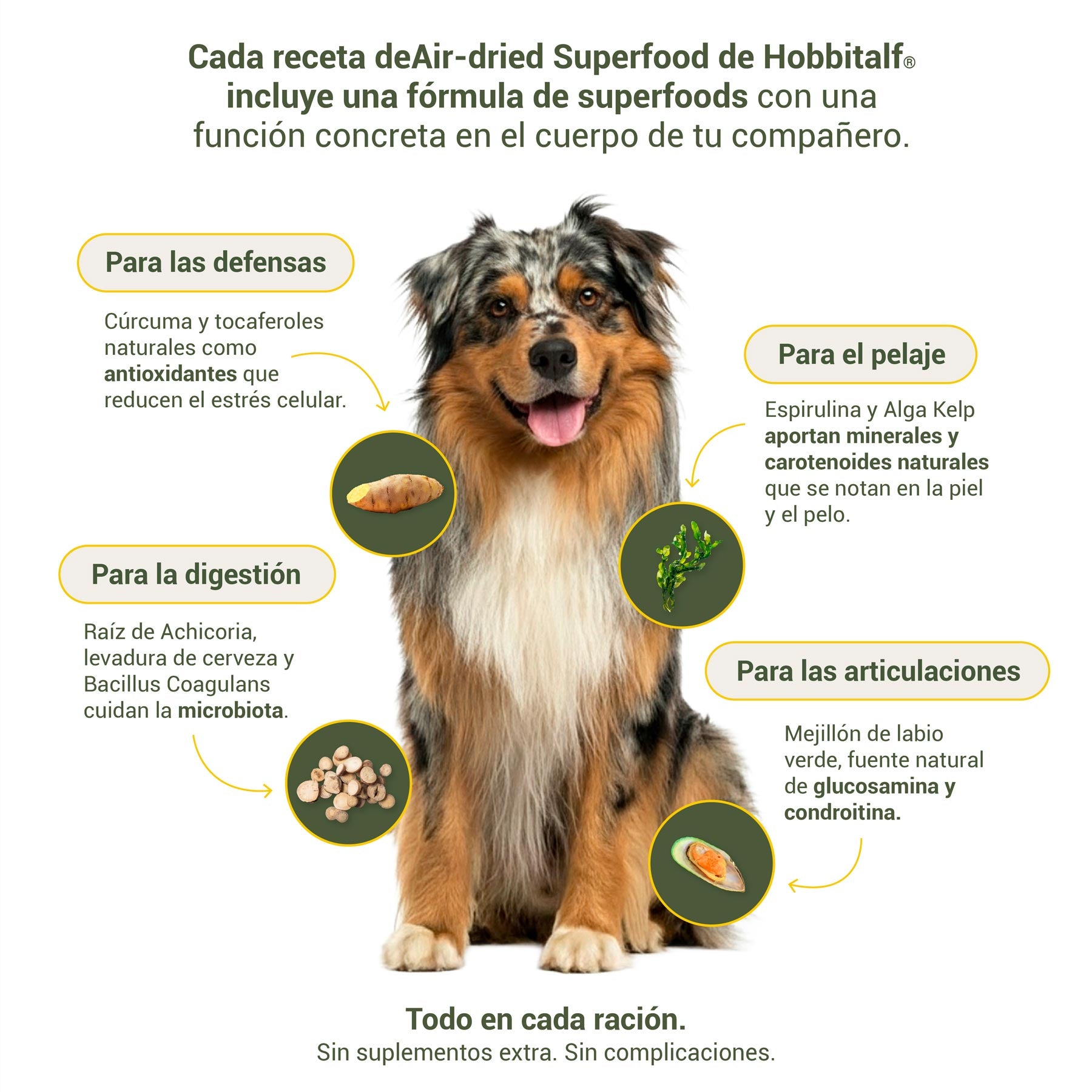 Pack de Iniciación al Air-dried con Salmón & Pavo y Superalimentos Frescos para Perros