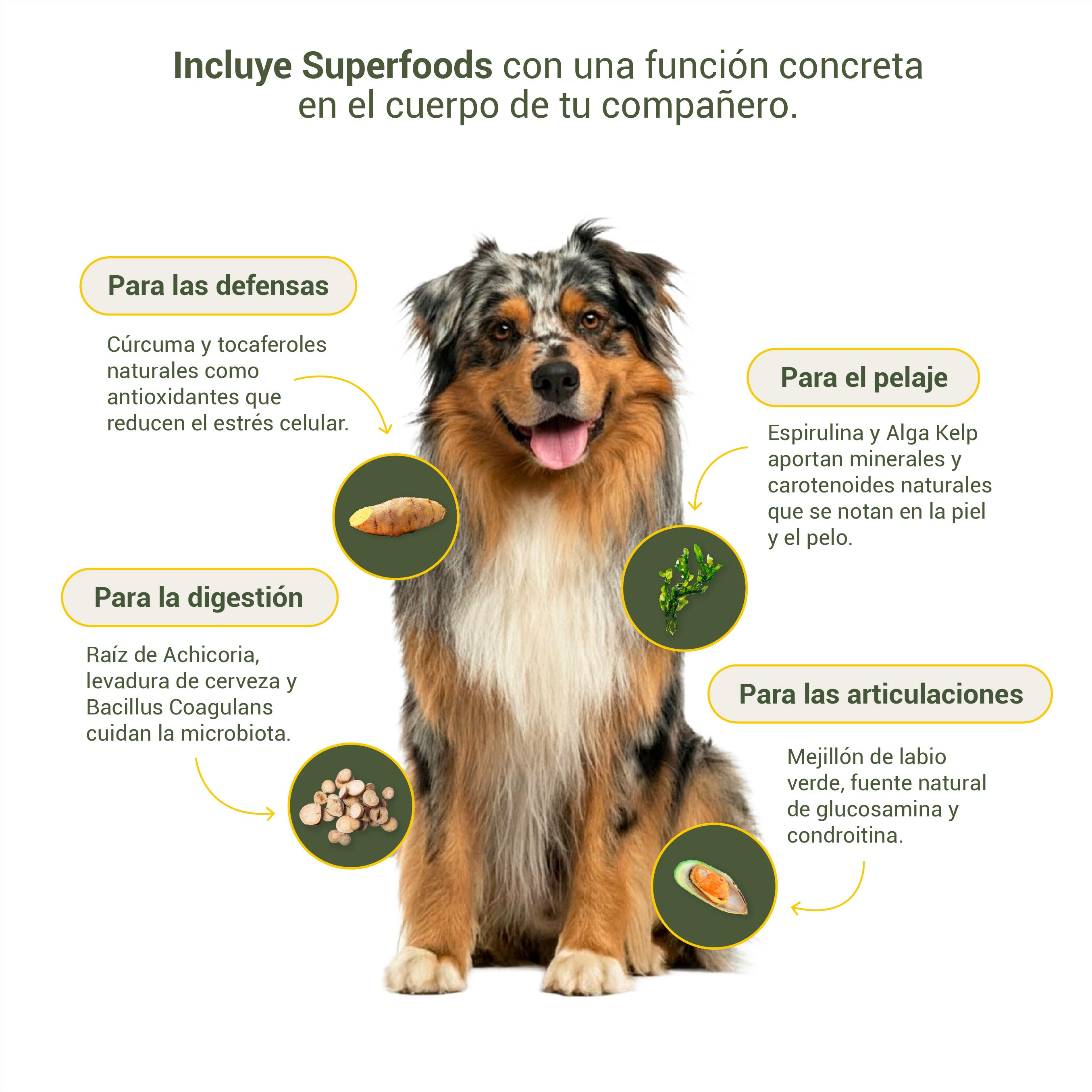 Topper Air-dried Superfood de Salmón y Pavo para perros y gatos